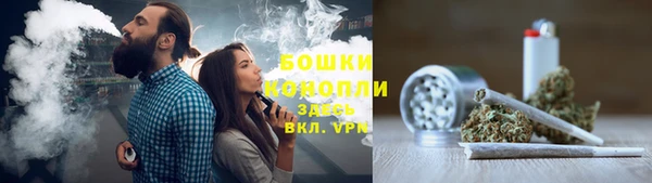 кокс Богородицк
