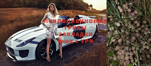 прущие крисы Богданович