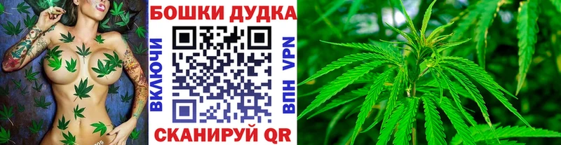 Бошки Шишки THC 21%  Духовщина 